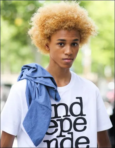 Quel garçon préfères-tu ?