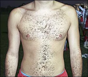 A quel joueur de Tarbes XV appartient ce torse ?