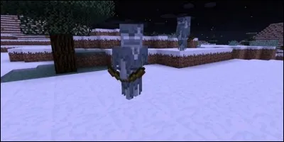 Est-ce que le vagabond peut chevaucher une araignée ?