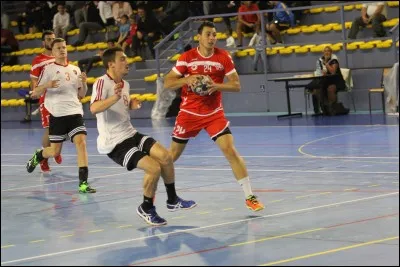Je suis un handballeur français né en Serbie. J'ai été sacré meilleur handballeur mondial de l'année 3 fois. Qui suis-je ?