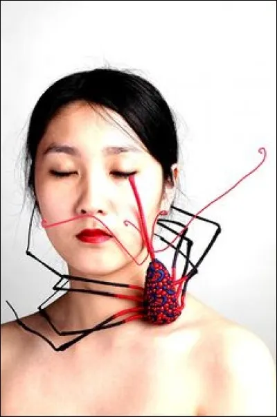 Oh le joli hiiiiiiiii bijou que voilà, car il s'agit bien d'un bijou ! A qui donc le conseiller ?