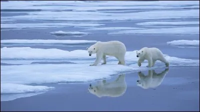 Le niveau y est au plus bas.