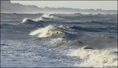 Reste sur terre quand il est bas.