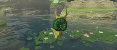 Quel pourcentage un Korogu rapporte-t-il ?