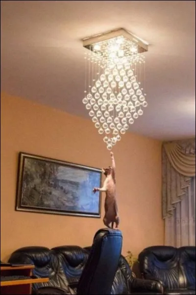 Qui est cet acrobate ?