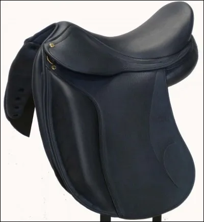 Comment appelle-t-on la partie de la selle qui est derrière les fesses ?