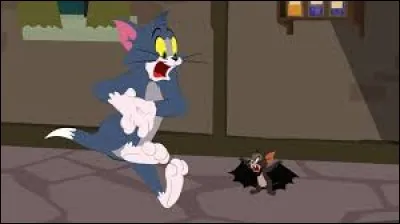 Comment se nomme le chat qui semble avoir très peur ?