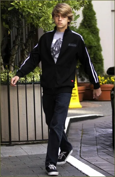 Qu'étudie-t-il à l'université Gallatin School of Individualized Study ?