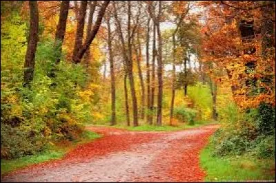 Trois années plus tard, laquelle de ces écoles n'arriva pas à Poudlard à Halloween dans le livre ?