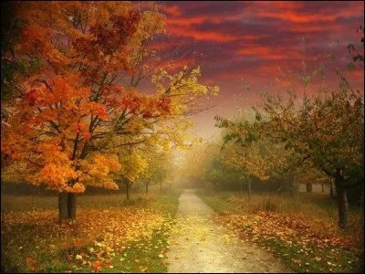 À quel niveau scolaire n'a-t-on plus qu'une semaine de vacances à la Toussaint ?