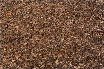 Le paillage mis sur les plantes pour les protéger est fait de...