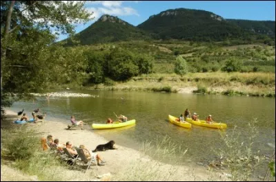 Les peupliers en bord de rivière consomment environ...