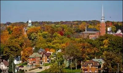 Grâce aux Simpson, tout le monde connaît la ville de Springfield.
Mais de quel état américain est-elle la capitale ?