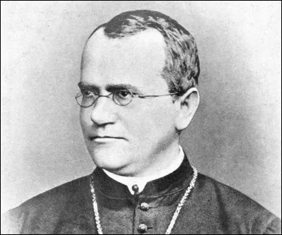 Avec quoi le moine Gregor Mendel a-t-il effectué des croisements avant d'énoncer des lois sur l'hérédité ?