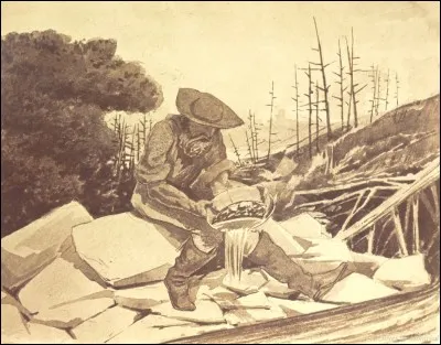 Combien de personnes, américaines et étrangères, sont arrivées en Californie pour essayer d'avoir leur part d'or ?