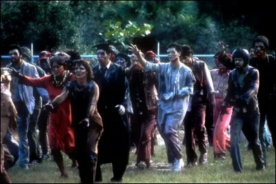 Des humains essayent de survivre face à des morts-vivants.