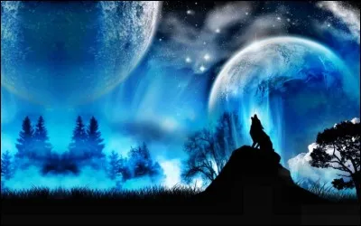 Histoire - En quelle année les femmes accèdent-elles au droit de vote ?