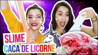 De quelle autre chaîne fait-elle partie ?