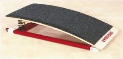 Comment s'appelle cet agrès ?