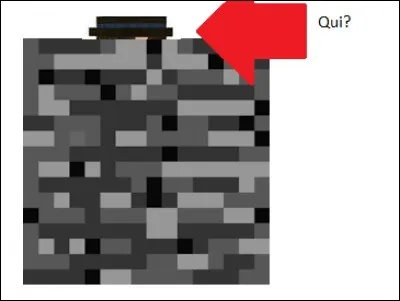 Quelle est la seule entit&eacute; qui peut "spawner" sur un bloc de Bedrock ?
