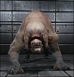 Comment s'appelle ce monstre ?