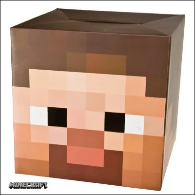 Comment s'appelle le skin de base ?