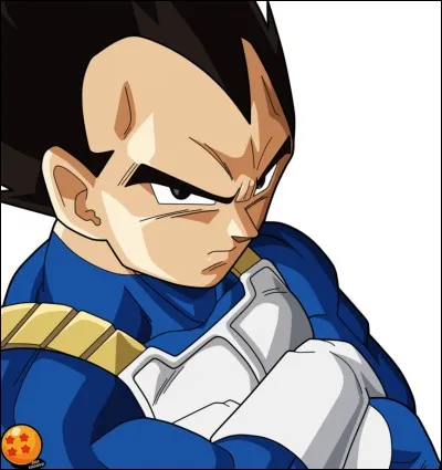 Qui est Vegeta ?