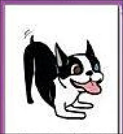 Que veut dire ce qu'il fait ?