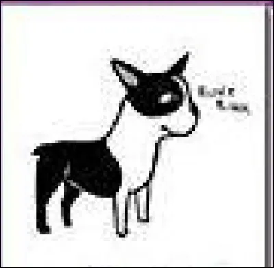 Que veut dire ce qu'il fait ?