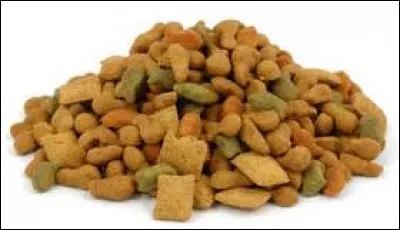 Vers quel âge les chatons peuvent-ils manger des croquettes ?