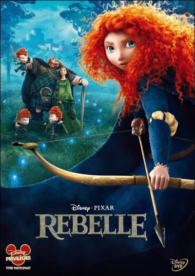 Dans quel pays se passe "Rebelle" ?