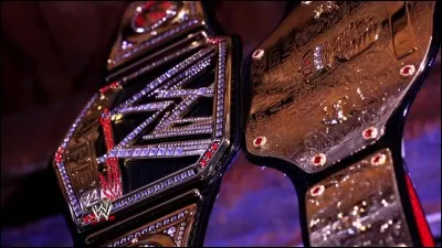 Pr&eacute;f&eacute;rez-vous les champions poids lourds ou de la WWE ?