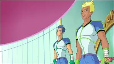 Comment s'appellent les deux garçons amoureux de Leïla ?