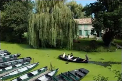 Comment se nomme la partie du marais Poitevin touchant la ville de Niort ?