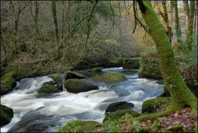La "Rivière d'argent" est un cours d'eau français situé en Bretagne. De quel fleuve est-elle l'affluent ?