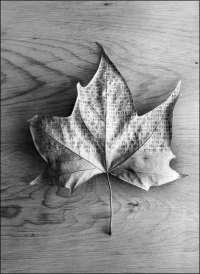 Quel poète a écrit les paroles de la chanson 'Les feuilles mortes' ?