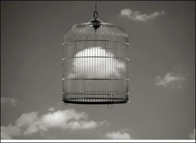 Quelle artiste française fut 'mise en cage' pour la pub d'un parfum Chanel ?