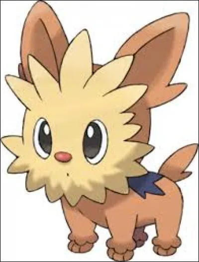 Quelle est l'évolution de Ponchiot ?