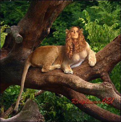 Quelle est ta créature magique préférée ?