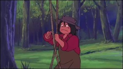 Qui est l'orphelin qui accompagne souvent Tom dans ses aventures ?