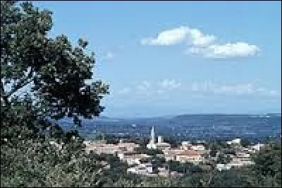 Le Pin est une commune de l'arrondissement de N&icirc;mes situ&eacute;e dans le d&eacute;partement ...