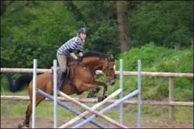 Cet obstacle est ...