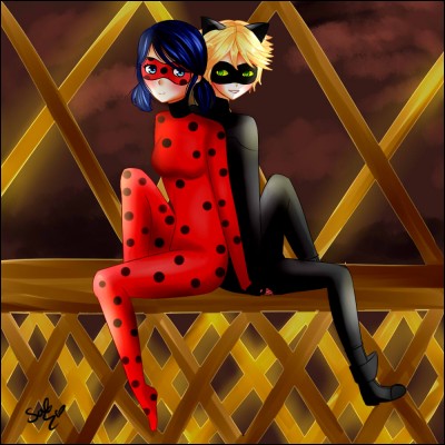 À partir de quel instant, Chat Noir (alias Adrien) tombe amoureux de Ladybug ?