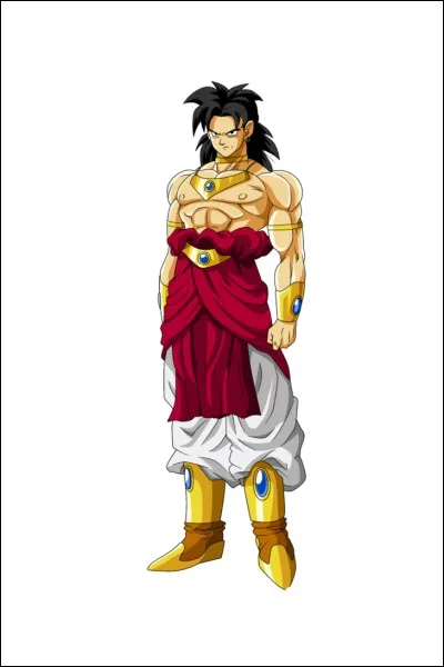 Qui est Broly ?