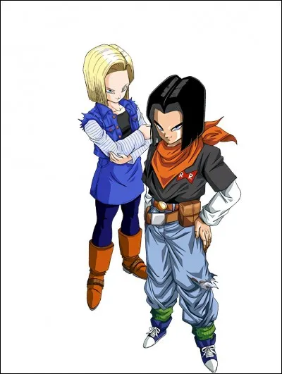 Quels sont les liens entre C-18 et C-17 ?