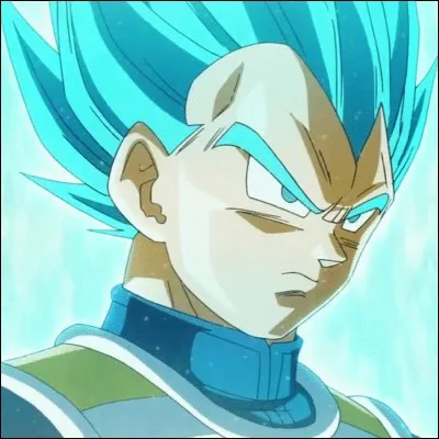 Qui est Vegeta ?