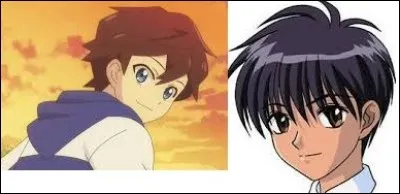 Lequel est le plus beau ?