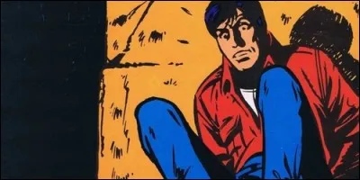 Quel métier exerce Marc Franval dans "Les Franval" ?