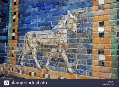 Quel est le musée le plus visité ?