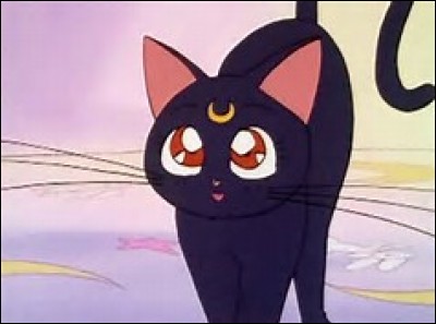 Épisode 1 
Comment s'appelle le chat de Sailor Moon ?